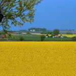 Topic sheet: Membrane Processes in Biorefineries