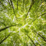 The Energy Mix – latest news on the global energy sector