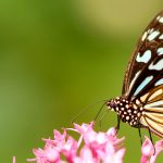 Newsletter – July 2019